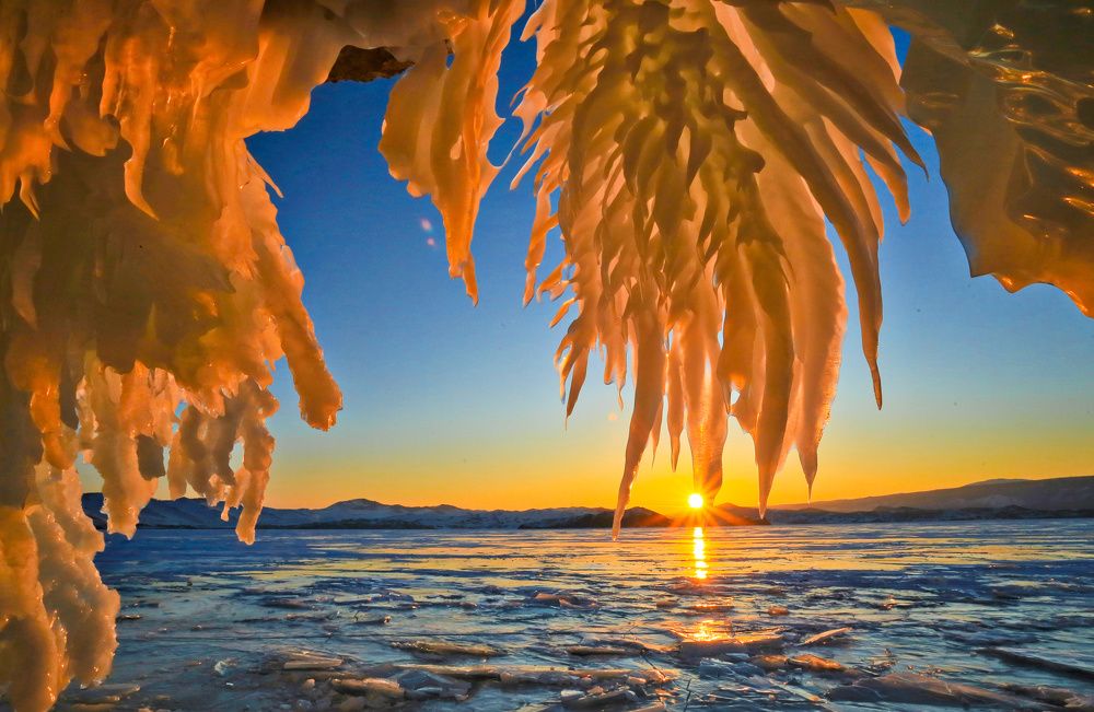 Хвост ледяной птицы