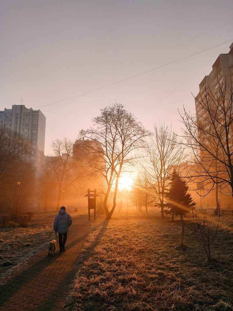 Волшебство по пути на работу.