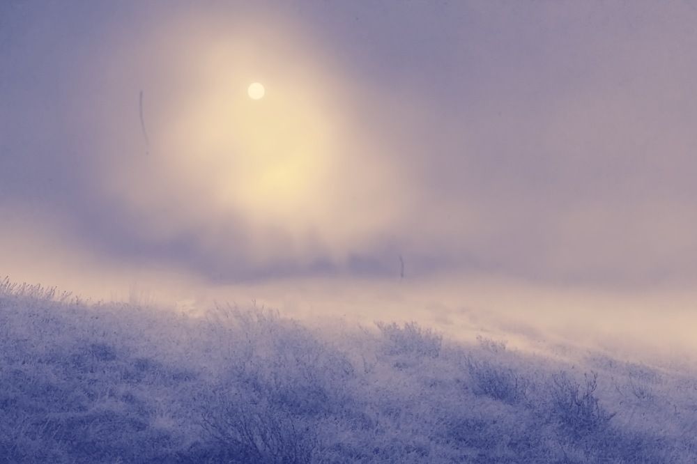 Photograph by Roman Popov