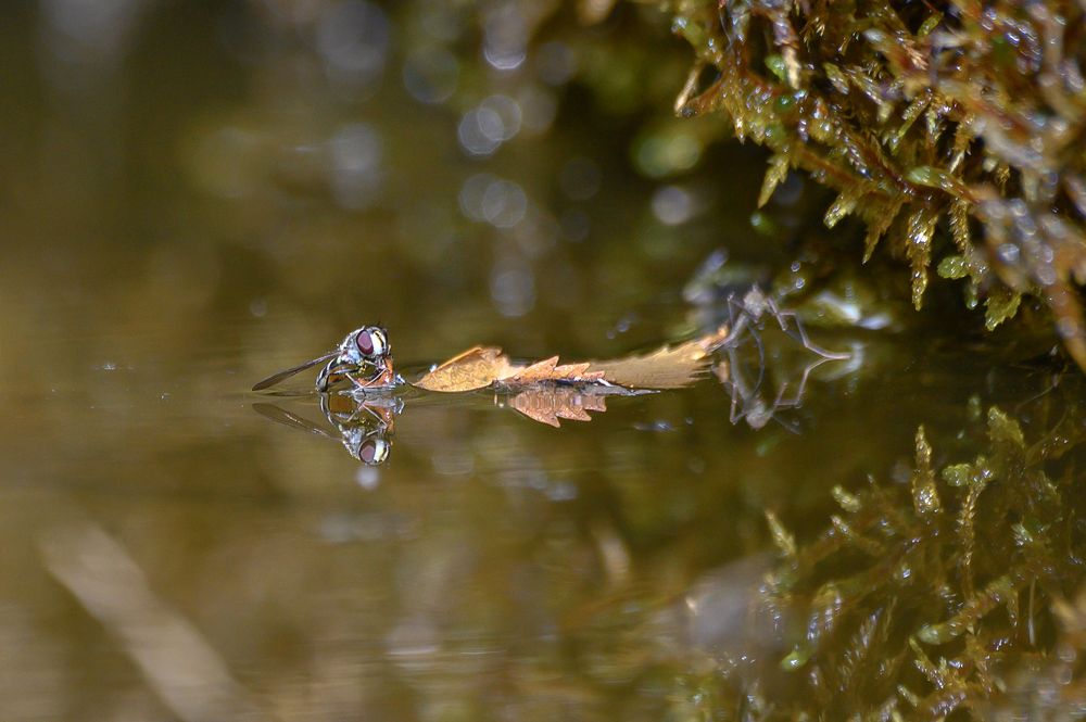Photograph by Дмитрий Бухтик