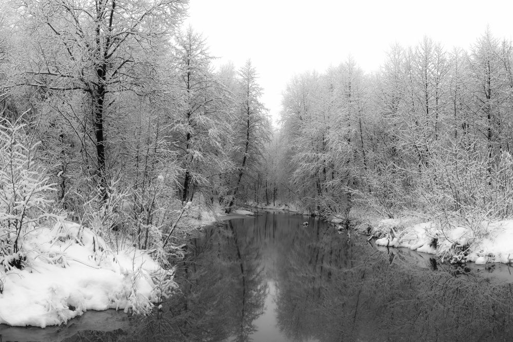 Photograph by Светлана Кондрашова