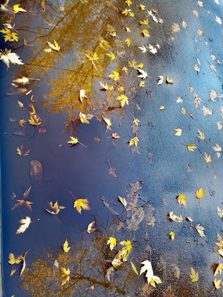 Photograph by Ольга