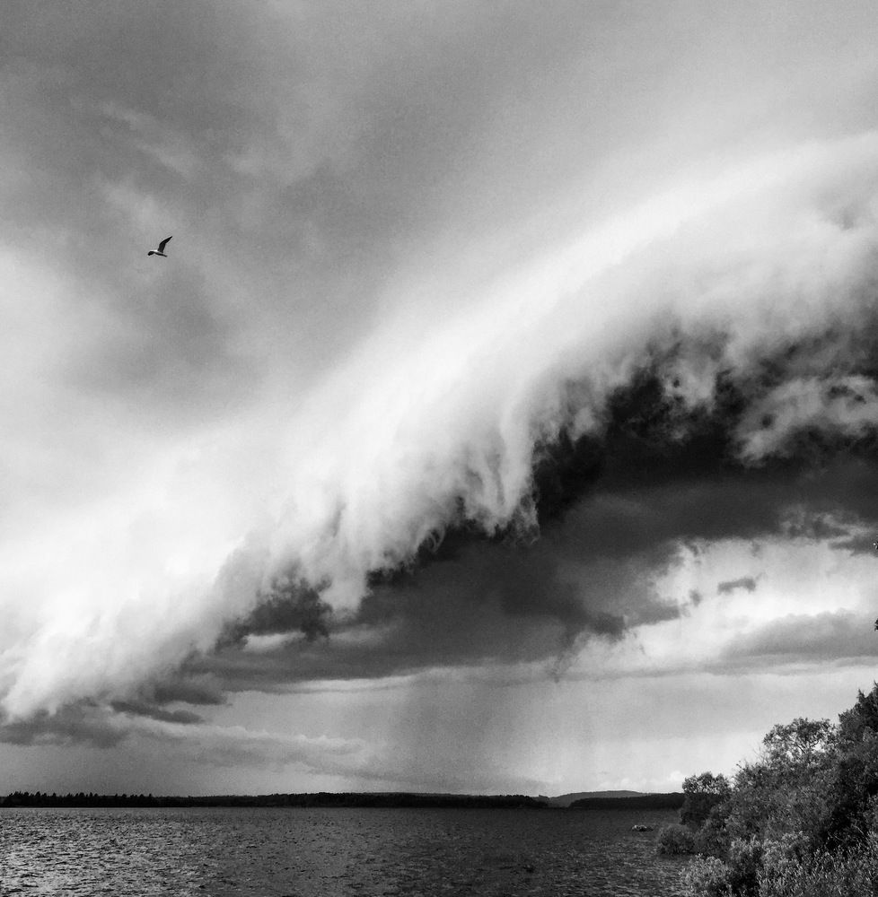 Photograph by Солдатов Алексей