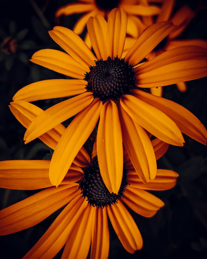 Photograph by SaifuddiN Beterhanov