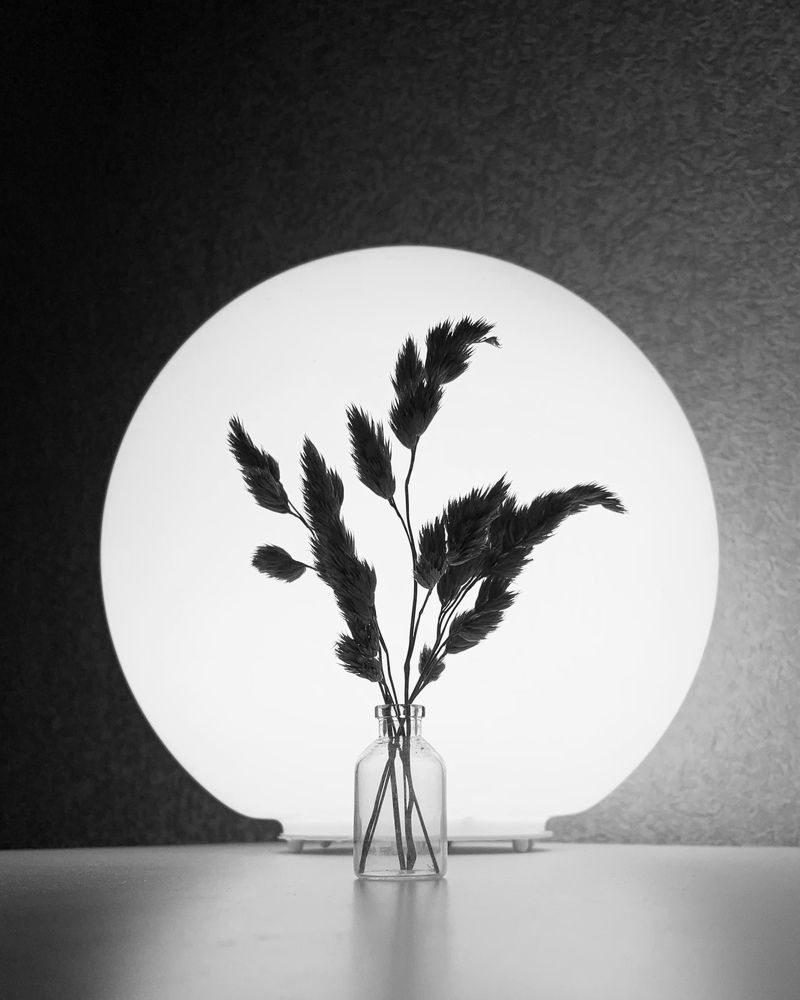 Photograph by Надежда Смирнова