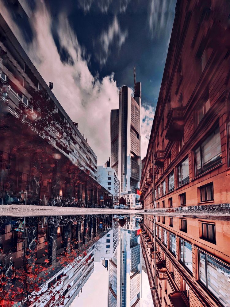 Фотография автора Laura Skwarek