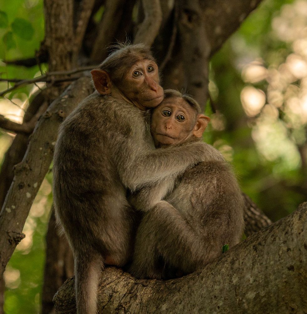 Photograph by Muralitharan M