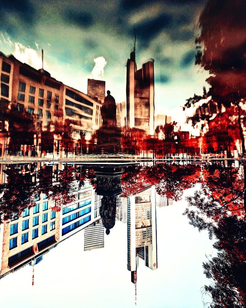 Фотография автора Laura Skwarek