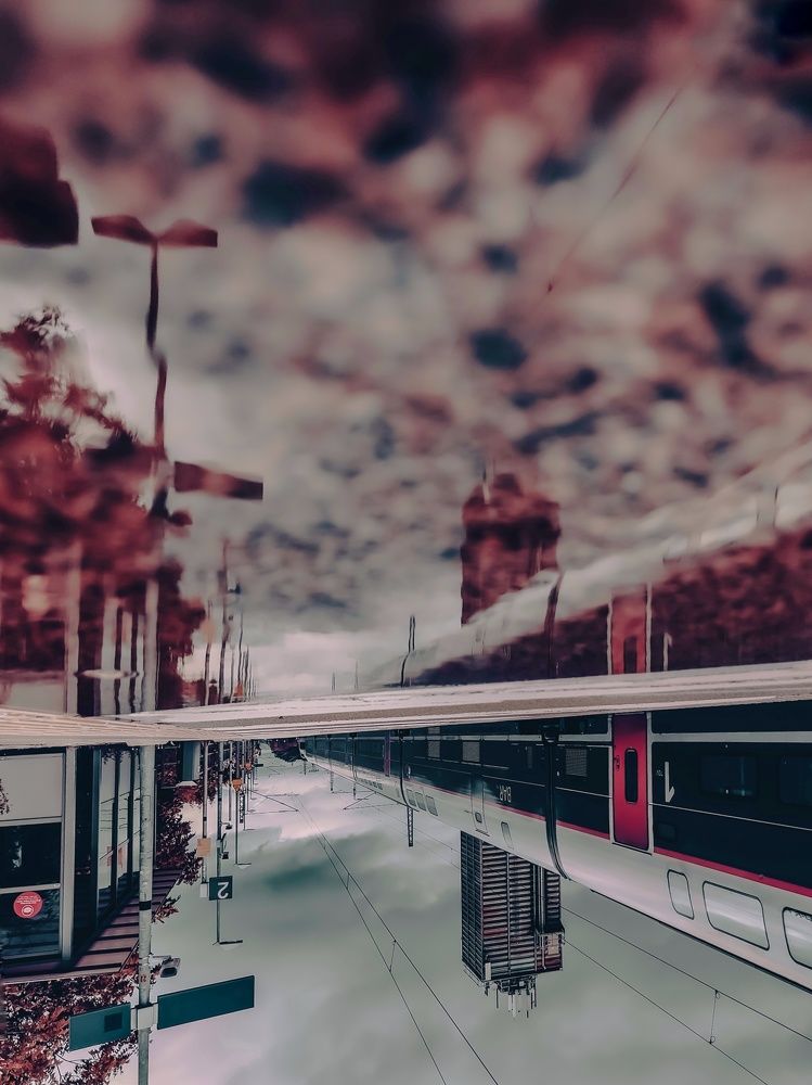 Фотография автора Laura Skwarek