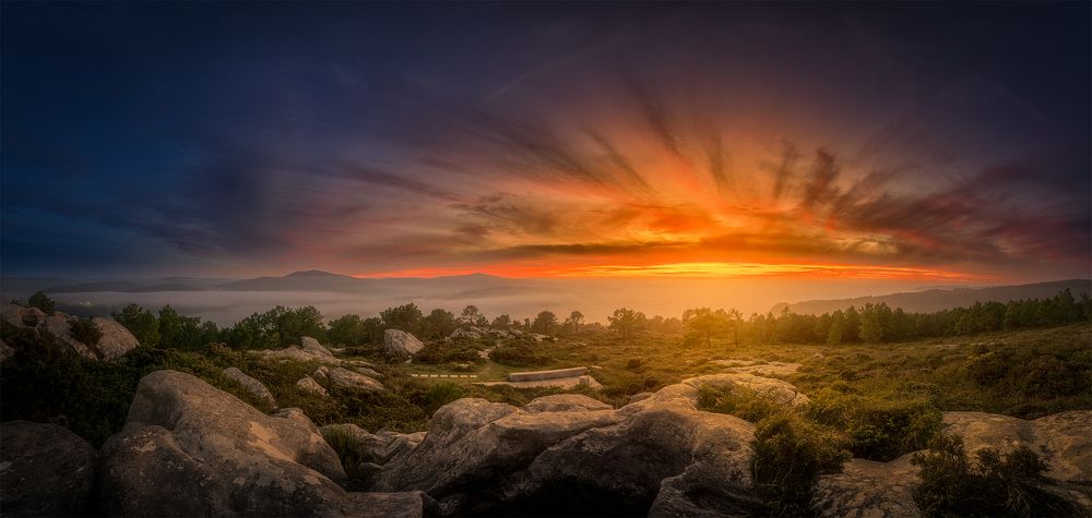 Photograph by Damian Varela