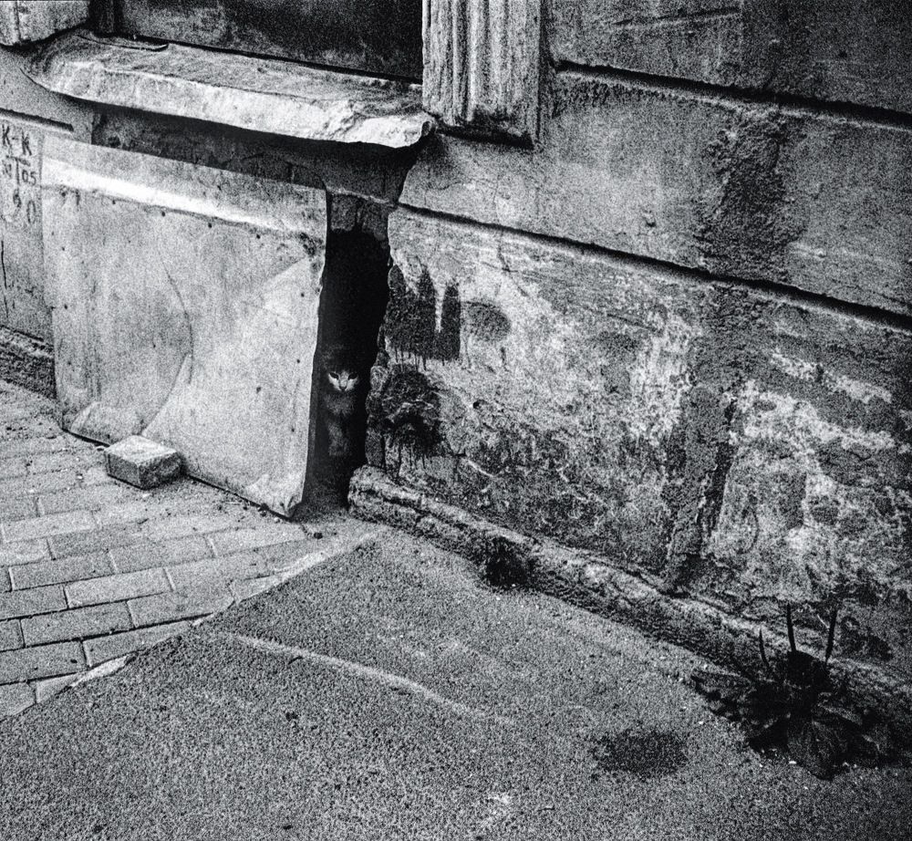 Photograph by Солдатов Алексей