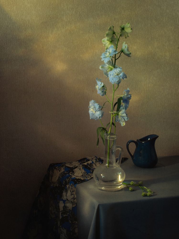 Photograph by Ольга Савостина