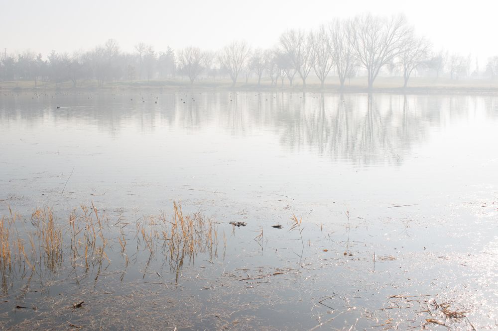 Photograph by Rusudan Khubutiya