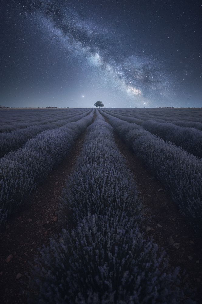 Photograph by Nick Georgiadis