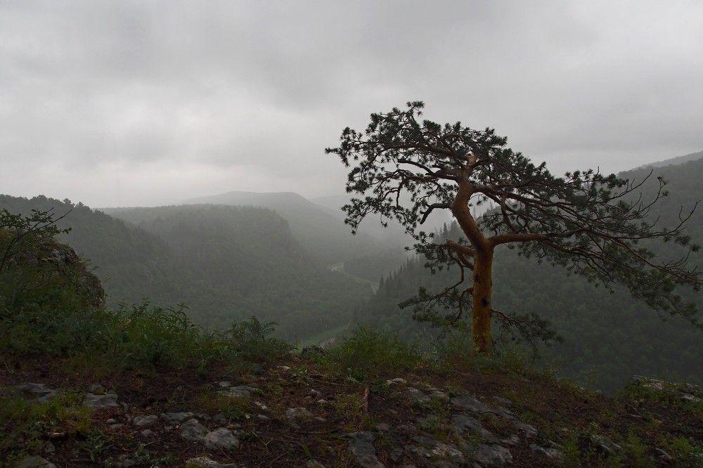 Photograph by Илфир Исламгазин