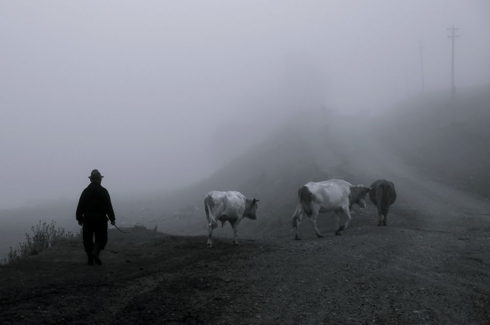 Photograph by Илфир Исламгазин