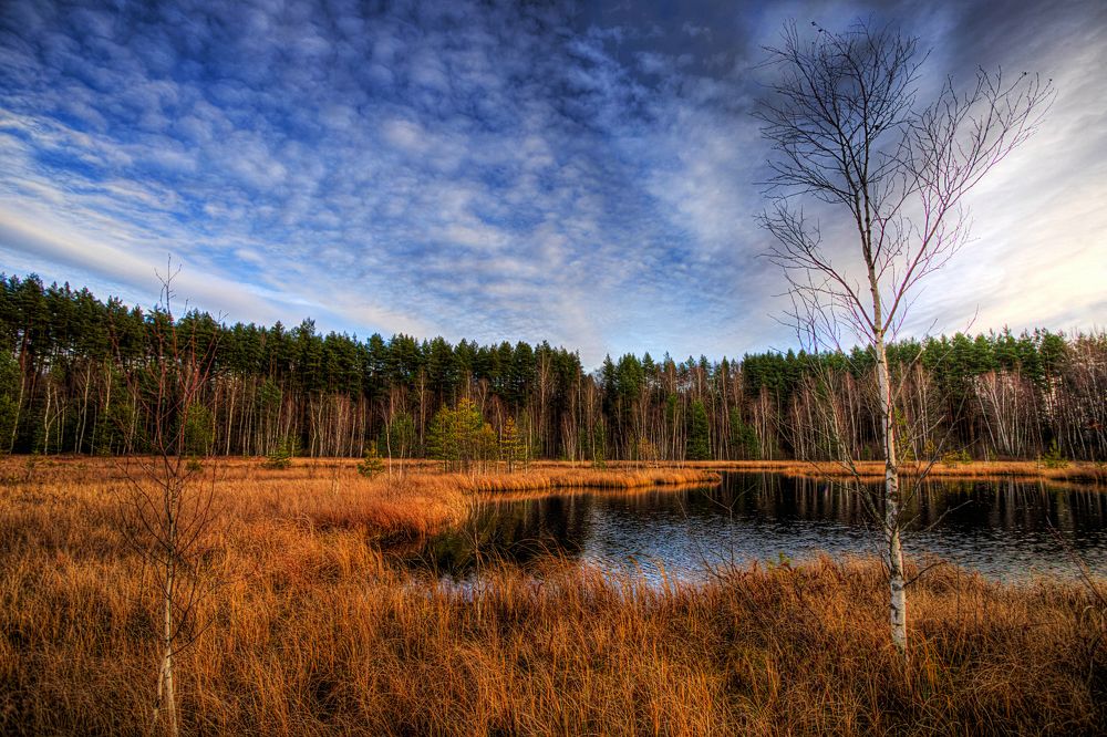 Photograph by Денис Четверик