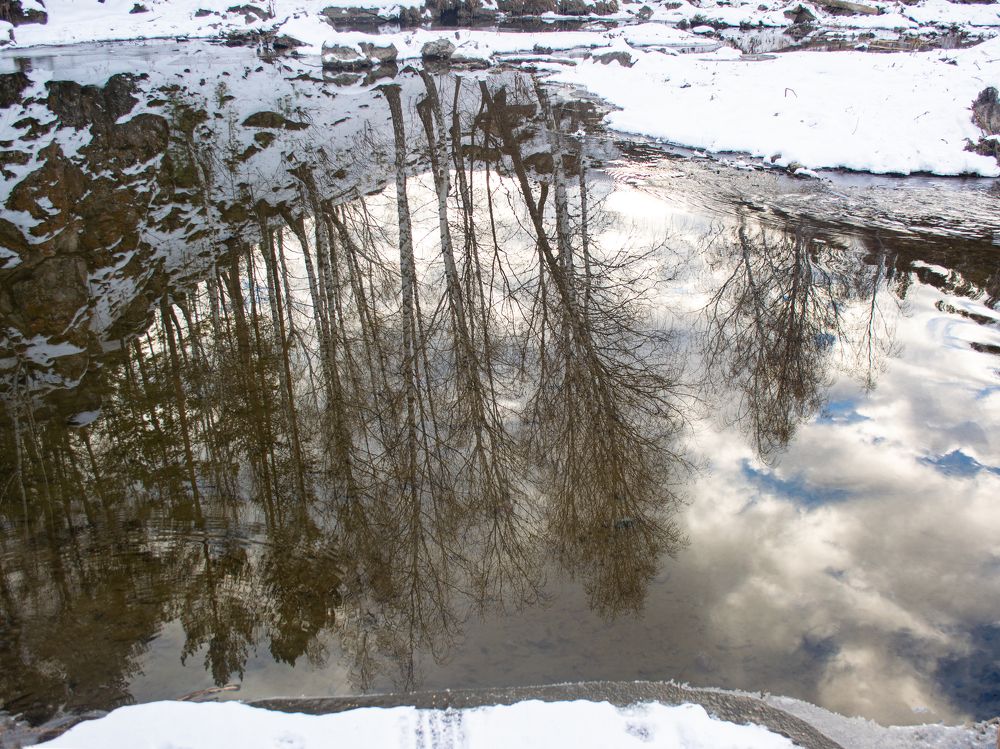 Photograph by Ирина Степанова