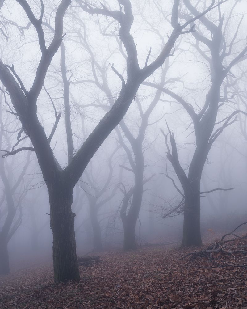 Photograph by Nick Georgiadis