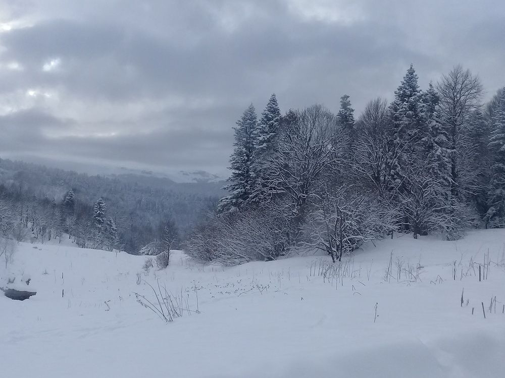 Photograph by Наталья Пусулиди