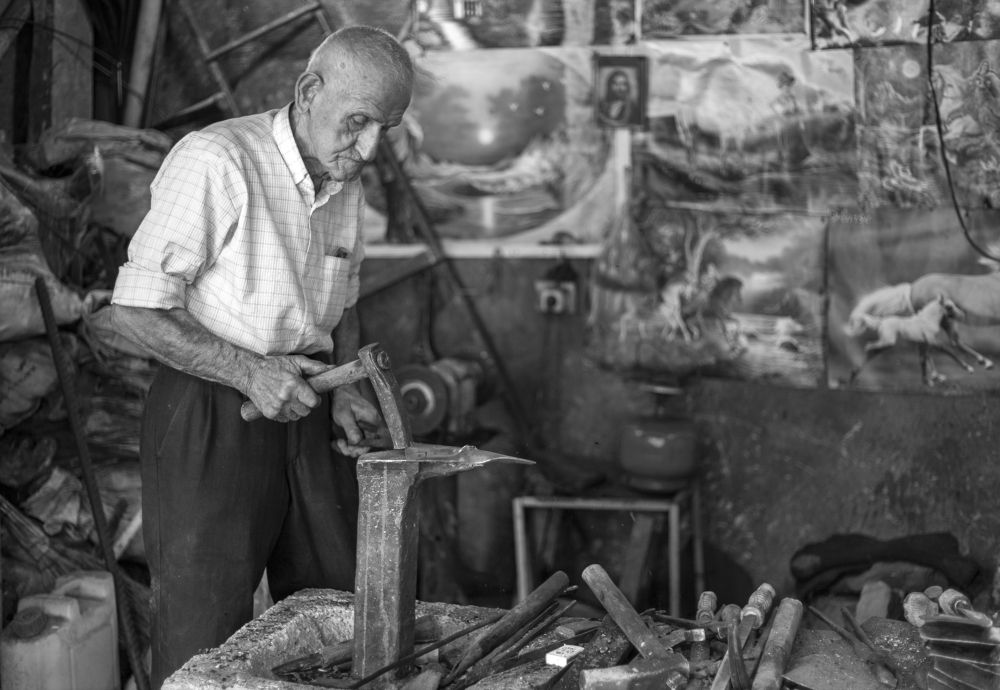 Photograph by sara shafigh