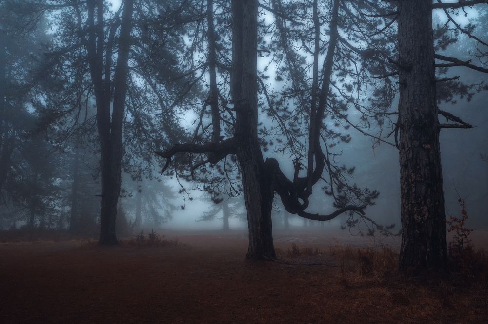 Photograph by Nick Georgiadis