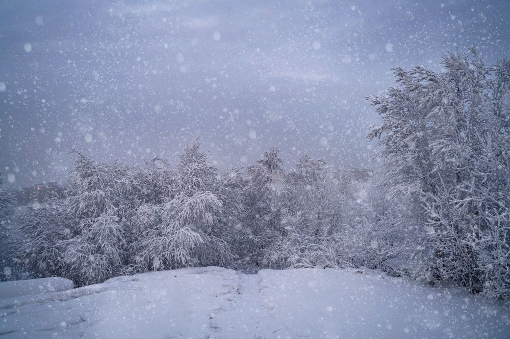 Photograph by Ирина Баландина