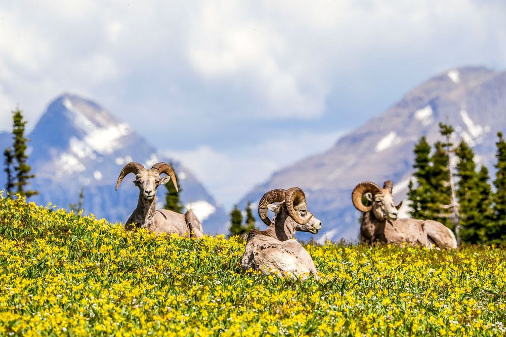 Photograph by Adeliene Lohman