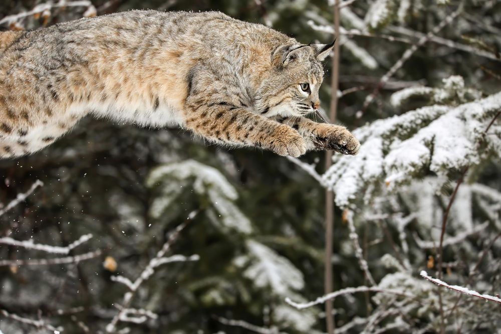 Photograph by Adeliene Lohman