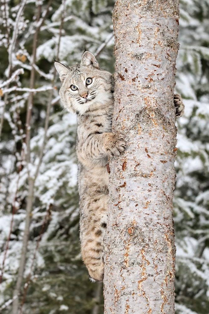 Photograph by Adeliene Lohman