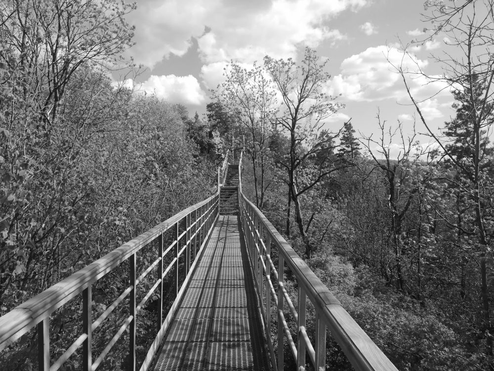 Photograph by Светлана Батурова