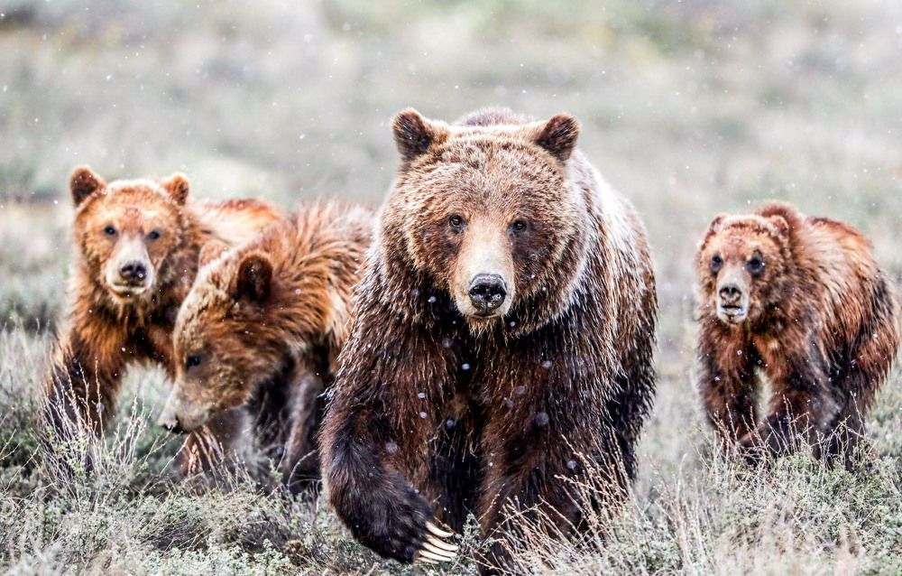 Photograph by Adeliene Lohman