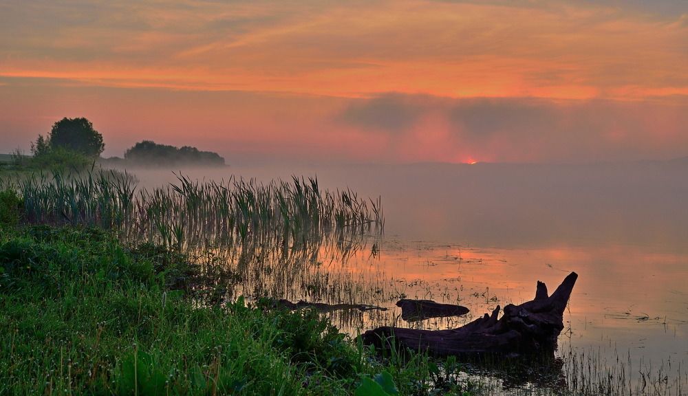 Photograph by Илфир Исламгазин