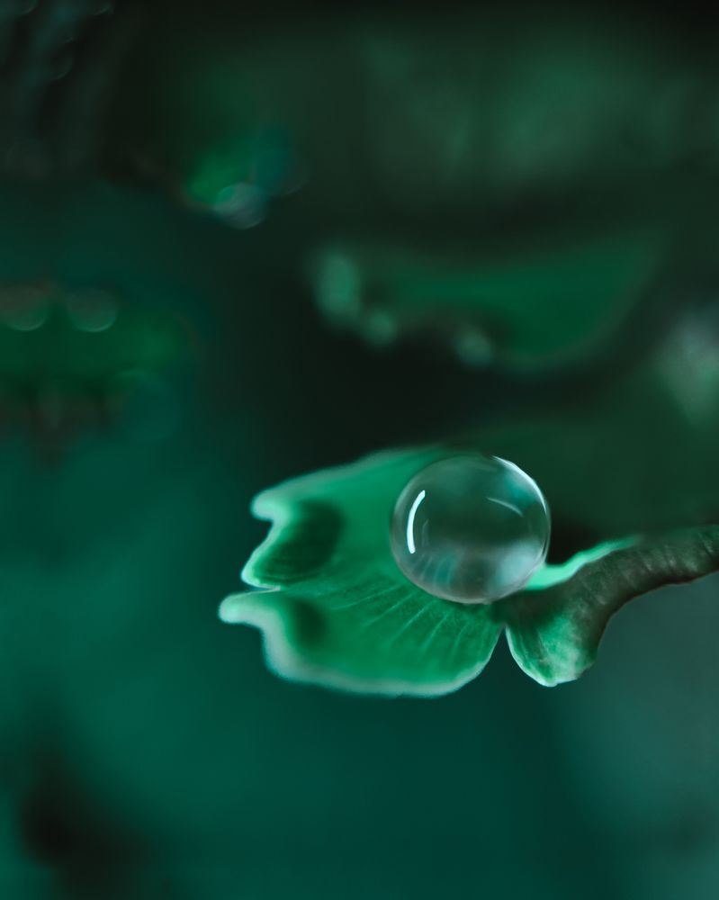 Photograph by Наталья Иванова