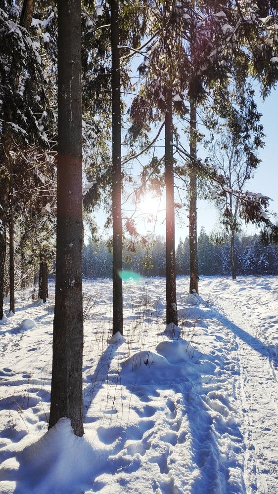 Photograph by Ксения