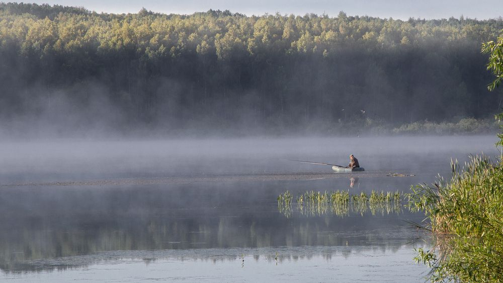 РЫБАЛКА В ТУМАНЕ