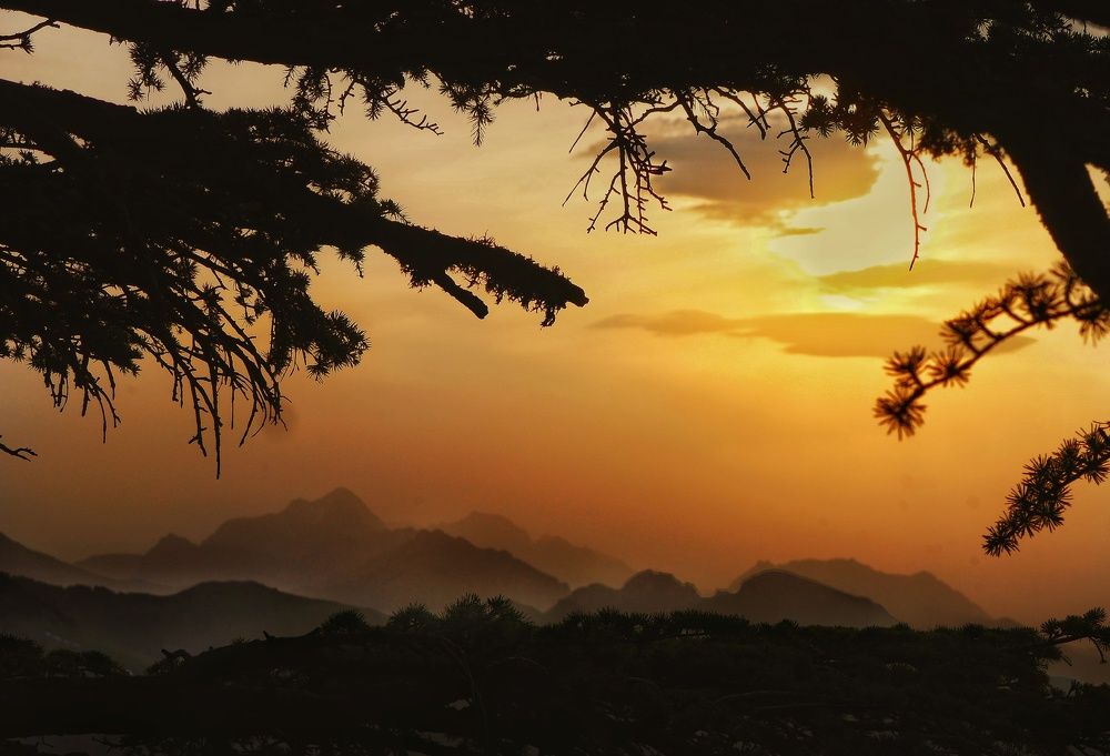 Photograph by Idir Bouaicha