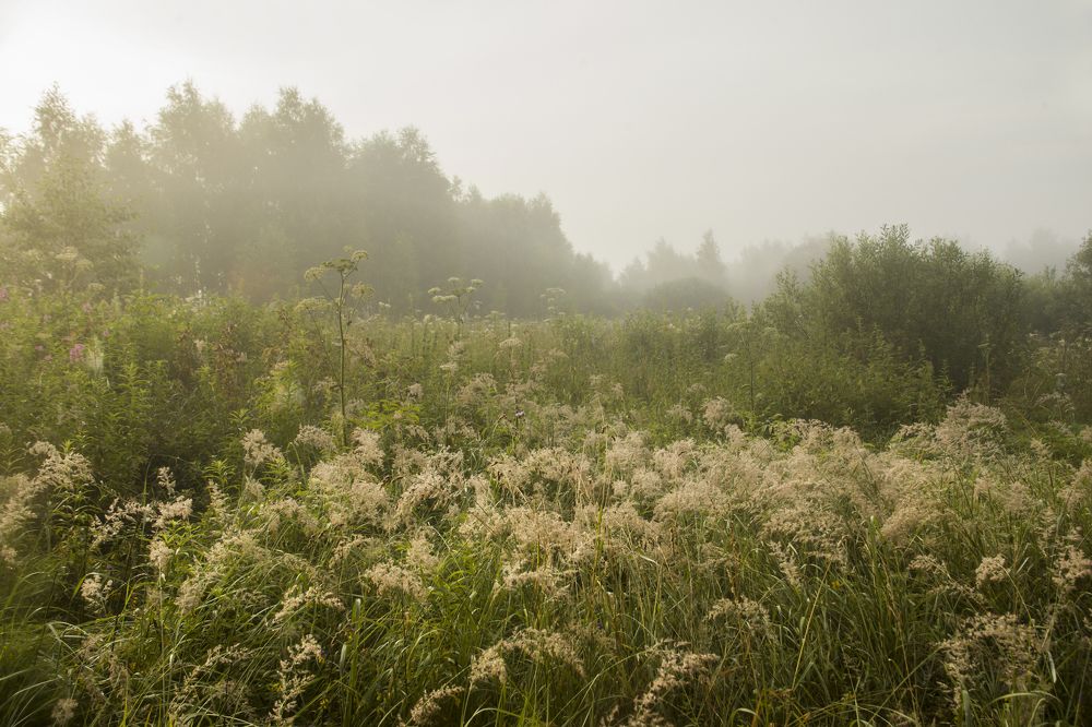 Photograph by Михаил Строев