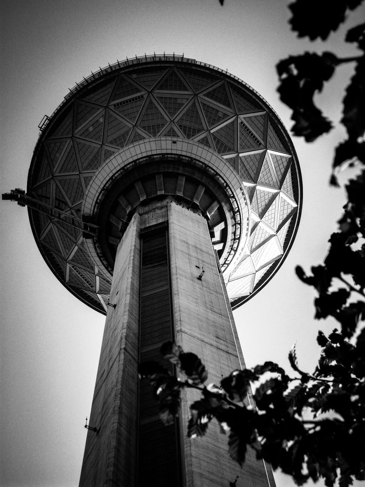 Photo #6845761