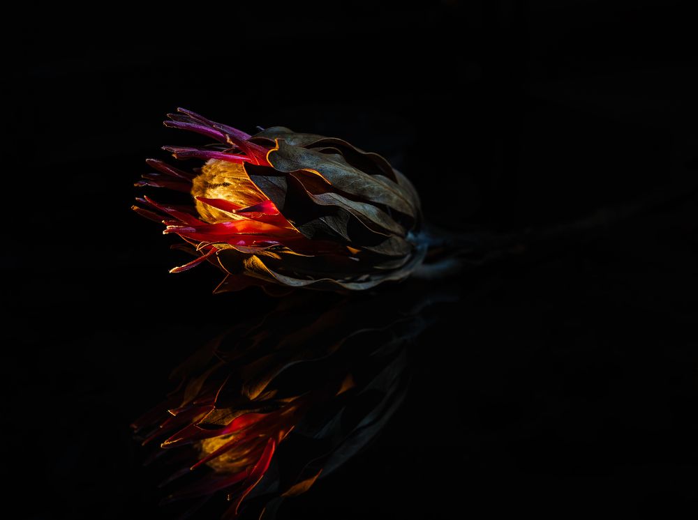 Photograph by Игорь Янушевский