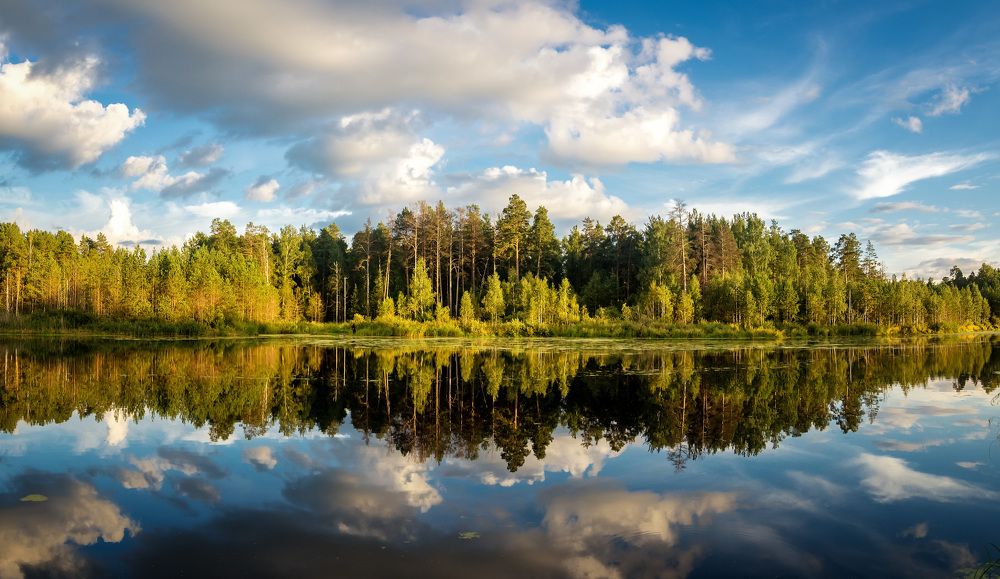 Фотография автора Александр Рудный