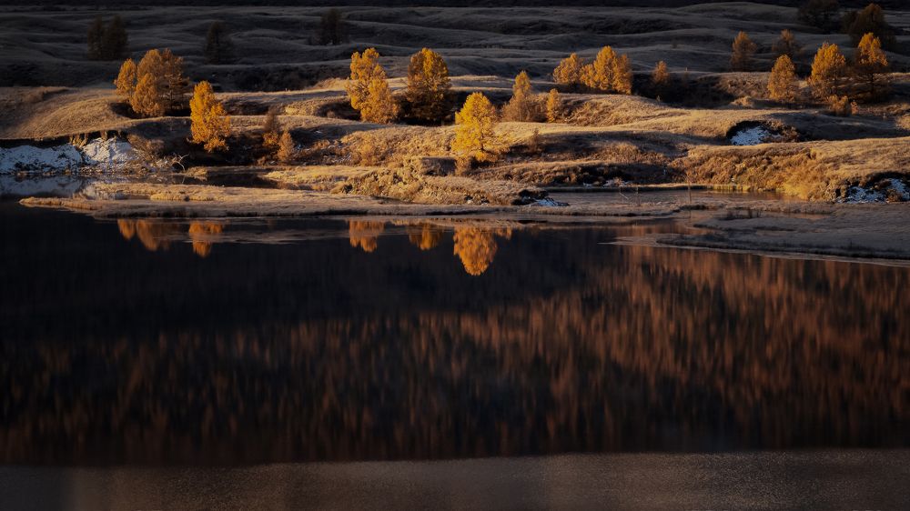 Фотография автора Александр Рудный