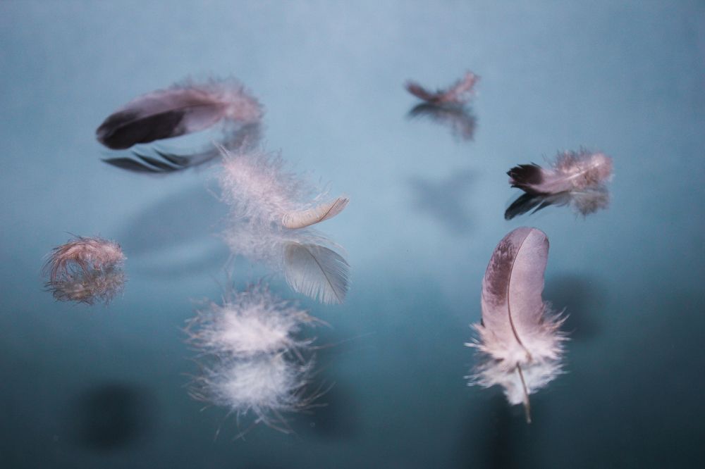 Photograph by Димитрий Осинцев