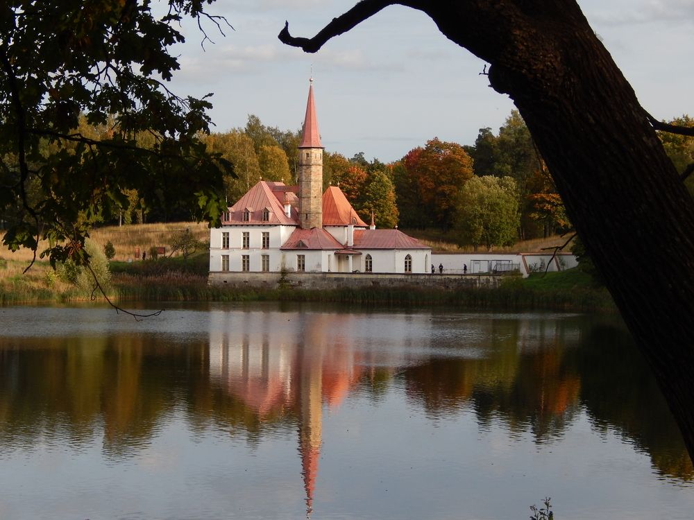 Фотография автора Елена