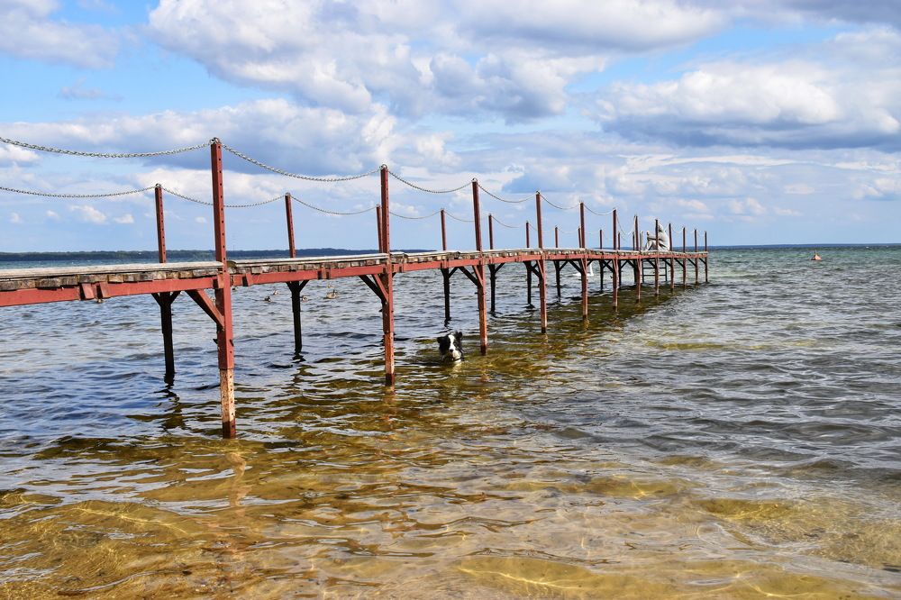 Фотография автора Моисеева Ольга