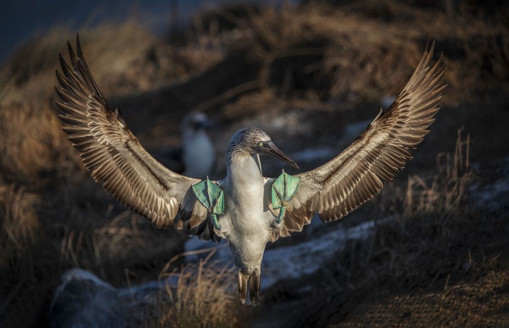 Photograph by Mariana Rodriguez Barrera