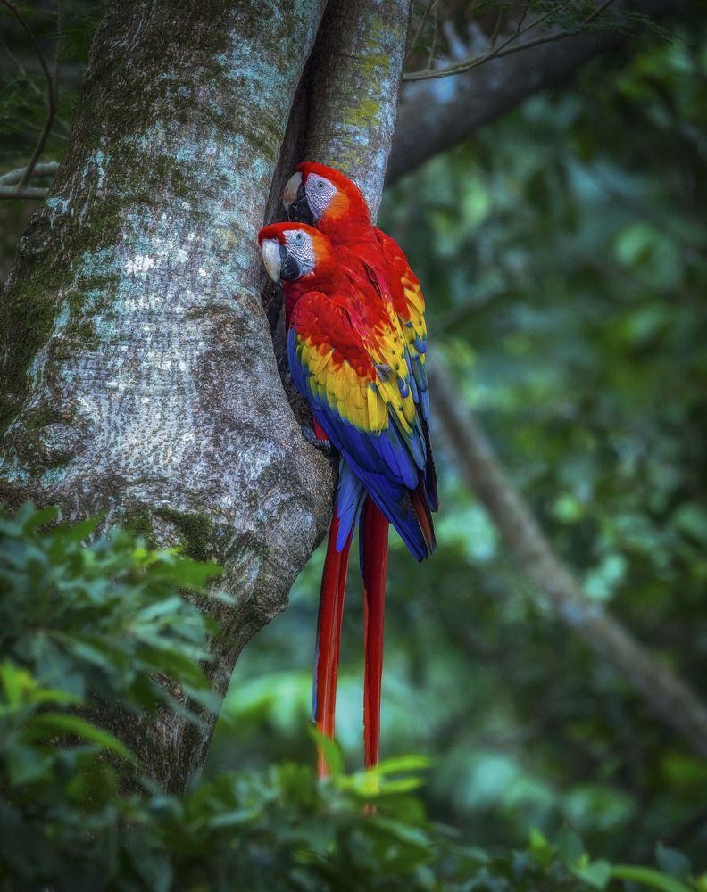 Photograph by Mariana Rodriguez Barrera