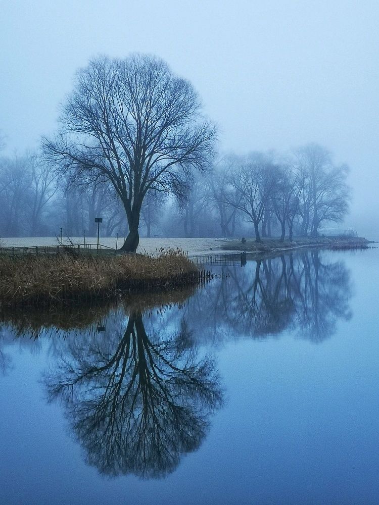 Photograph by Андрей Тур