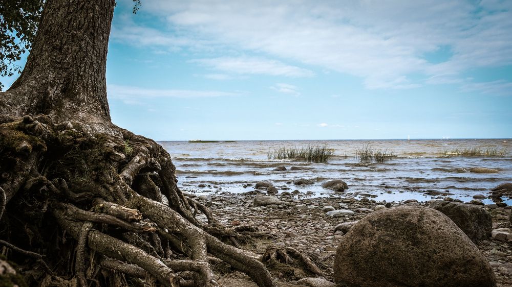 Photograph by Анастасия