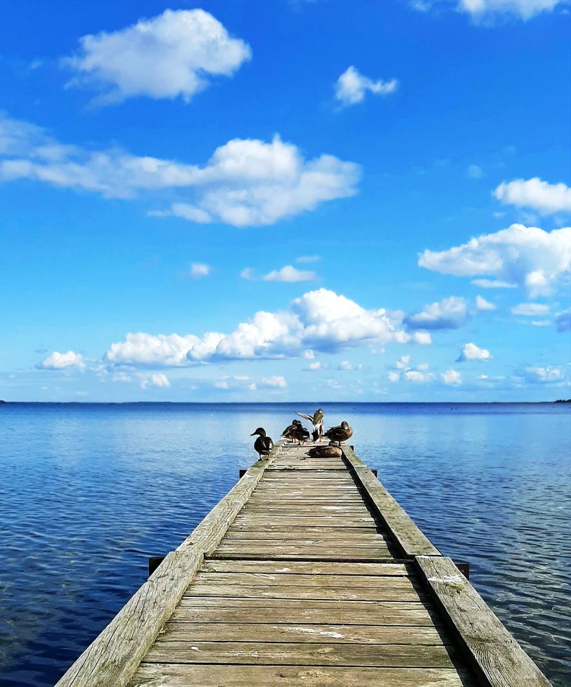 Фотография автора Моисеева Ольга